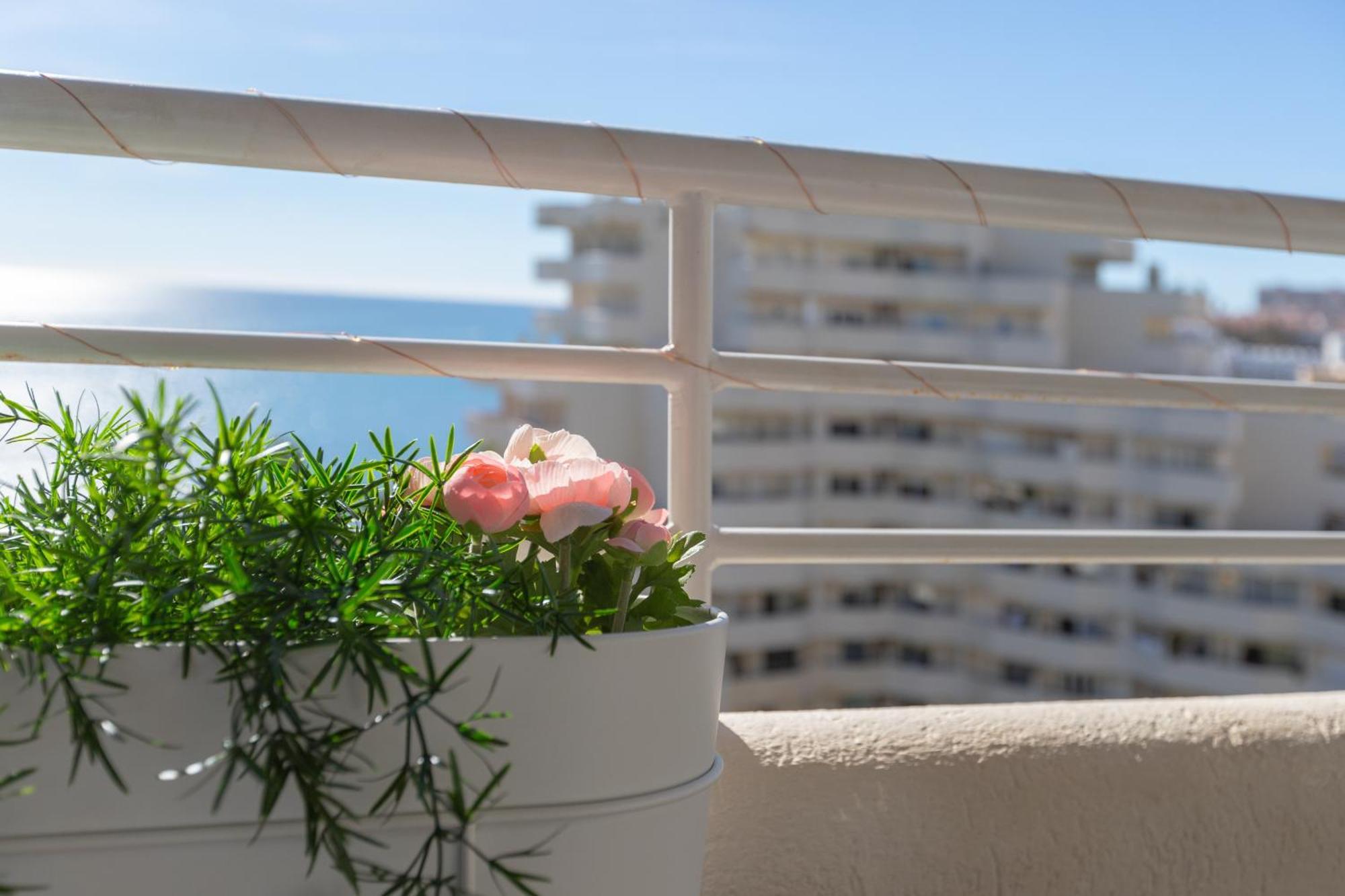Appartement Costa Del Sol